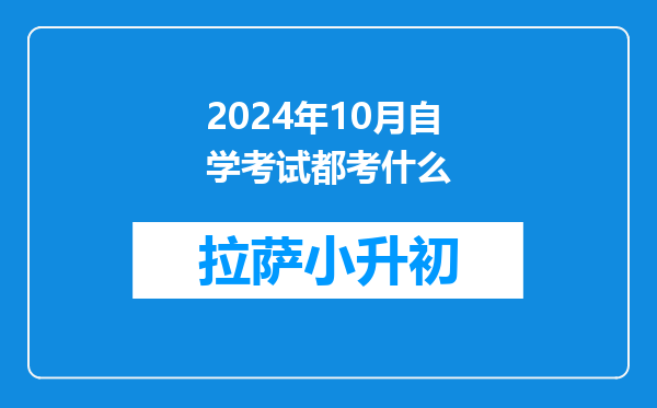 2024年10月自学考试都考什么