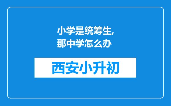 小学是统筹生,那中学怎么办