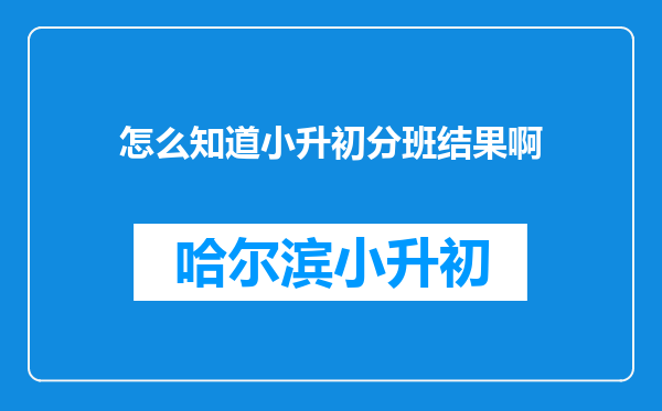 怎么知道小升初分班结果啊