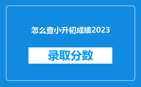 怎么查小升初成绩2023