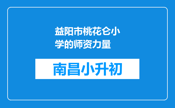 益阳市桃花仑小学的师资力量