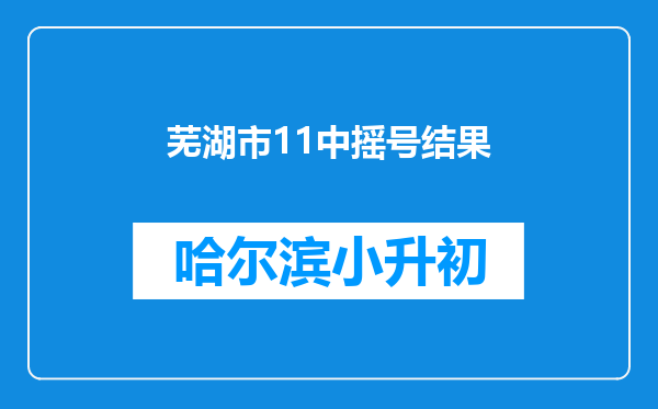 芜湖市11中摇号结果