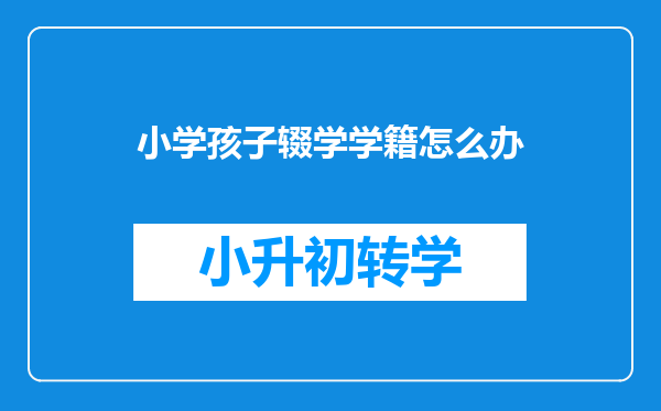 小学孩子辍学学籍怎么办