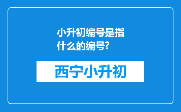 小升初编号是指什么的编号?