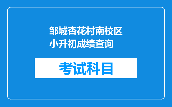 邹城杏花村南校区小升初成绩查询