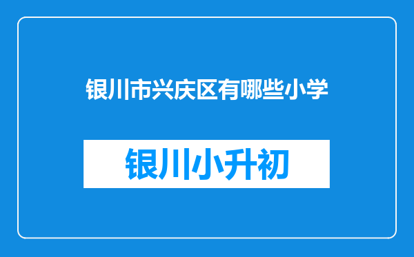 银川市兴庆区有哪些小学