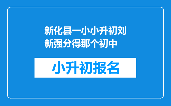 新化县一小小升初刘新强分得那个初中