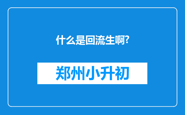 什么是回流生啊?