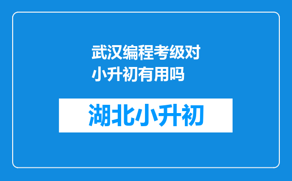 武汉编程考级对小升初有用吗