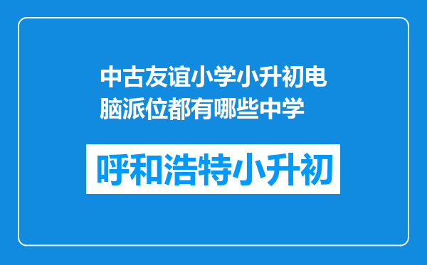 中古友谊小学小升初电脑派位都有哪些中学