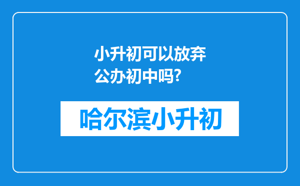 小升初可以放弃公办初中吗?