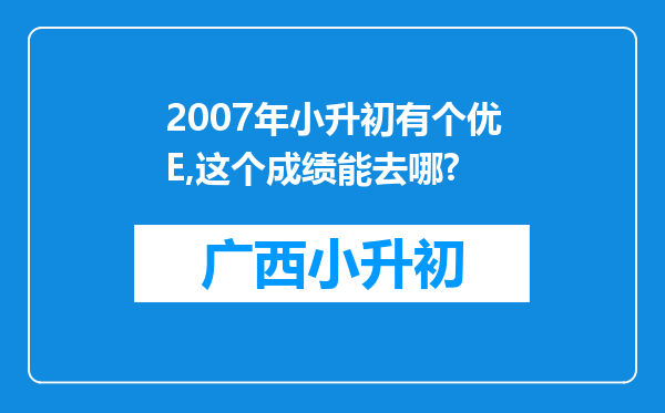 2007年小升初有个优E,这个成绩能去哪?