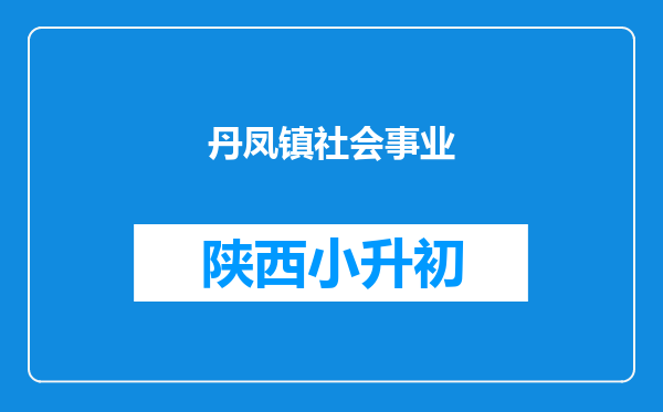 丹凤镇社会事业