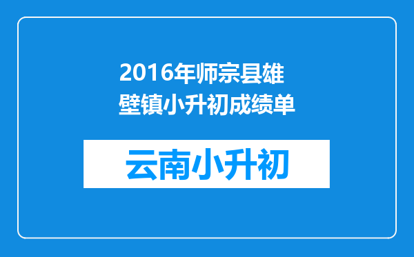 2016年师宗县雄壁镇小升初成绩单