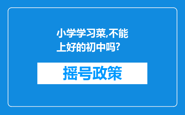 小学学习菜,不能上好的初中吗?