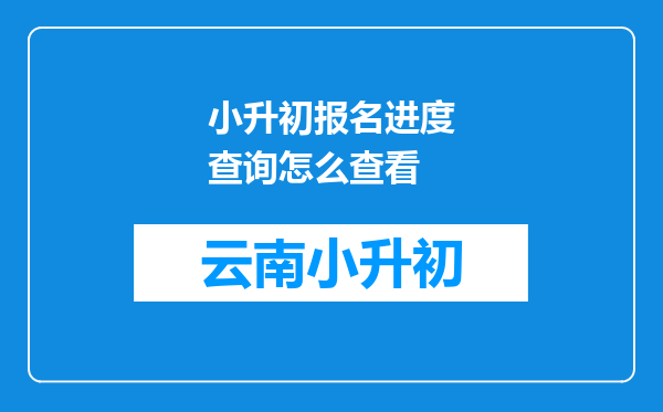 小升初报名进度查询怎么查看