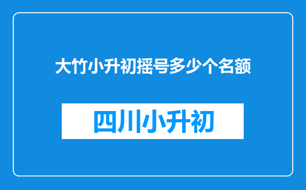 大竹小升初摇号多少个名额