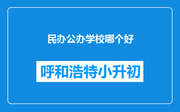 民办公办学校哪个好