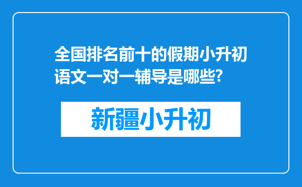 全国排名前十的假期小升初语文一对一辅导是哪些?