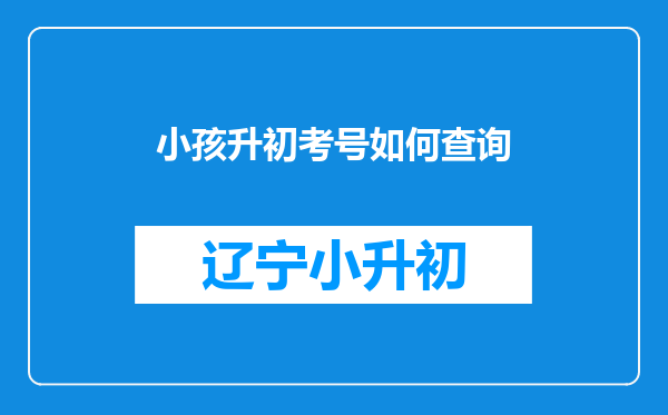 小孩升初考号如何查询