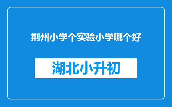 荆州小学个实验小学哪个好