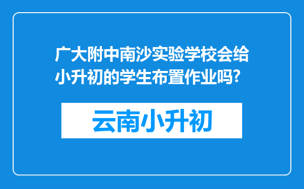 广大附中南沙实验学校会给小升初的学生布置作业吗?