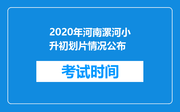 2020年河南漯河小升初划片情况公布