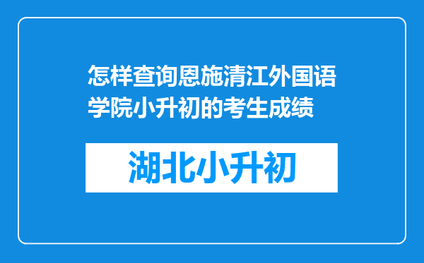 怎样查询恩施清江外国语学院小升初的考生成绩