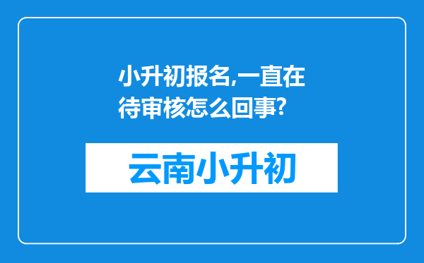 小升初报名,一直在待审核怎么回事?