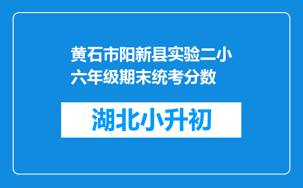 黄石市阳新县实验二小六年级期末统考分数