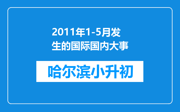 2011年1-5月发生的国际国内大事