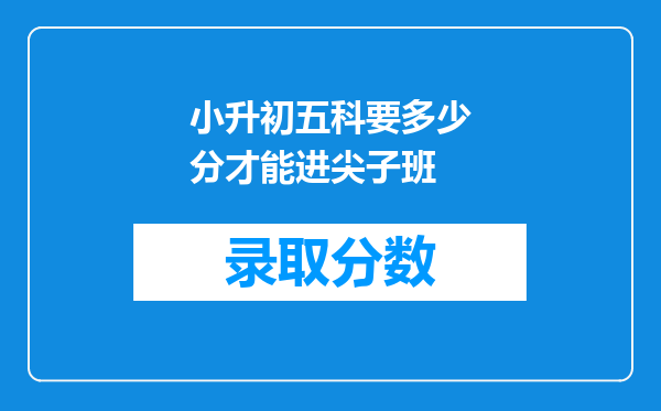 小升初五科要多少分才能进尖子班