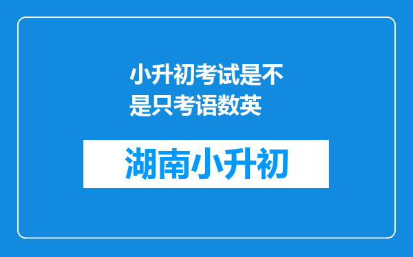 小升初考试是不是只考语数英