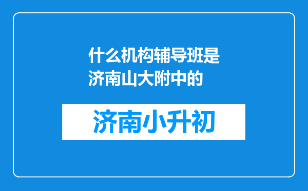 什么机构辅导班是济南山大附中的