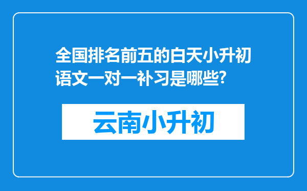 全国排名前五的白天小升初语文一对一补习是哪些?