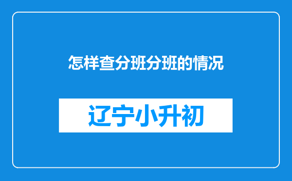 怎样查分班分班的情况