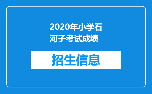 2020年小学石河子考试成绩