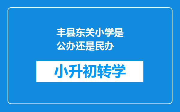 丰县东关小学是公办还是民办