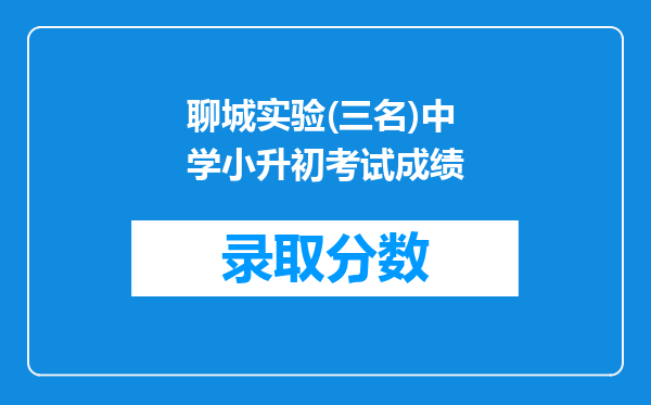 聊城实验(三名)中学小升初考试成绩