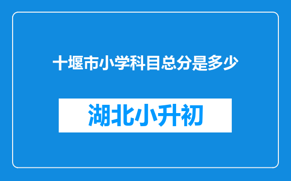 十堰市小学科目总分是多少