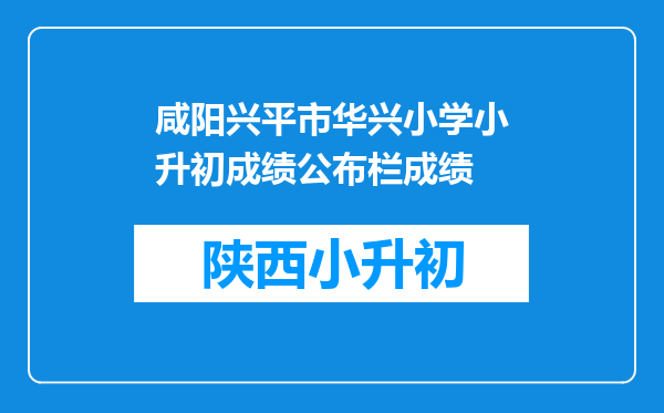 咸阳兴平市华兴小学小升初成绩公布栏成绩