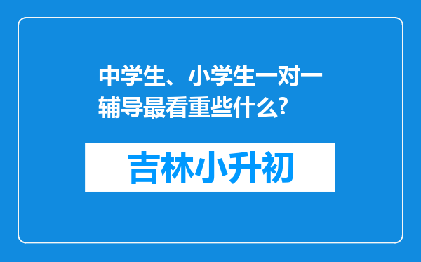 中学生、小学生一对一辅导最看重些什么?