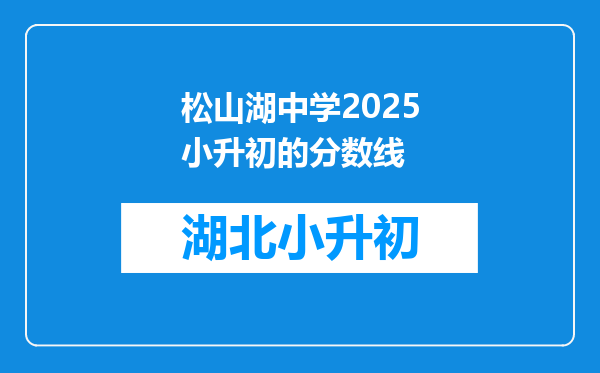 松山湖中学2025小升初的分数线