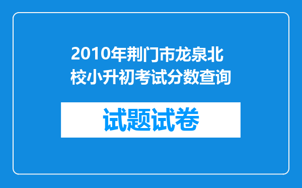 2010年荆门市龙泉北校小升初考试分数查询