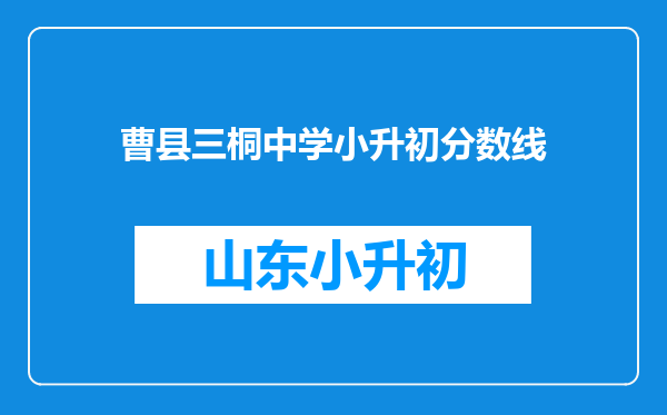 曹县三桐中学小升初分数线