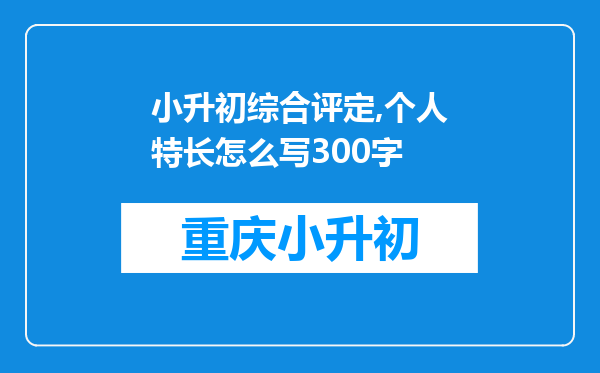 小升初综合评定,个人特长怎么写300字