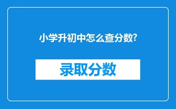 小学升初中怎么查分数?