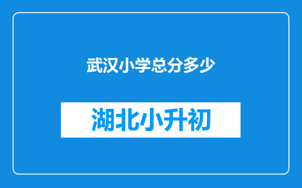 武汉小学总分多少