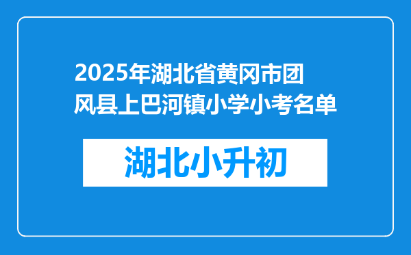 2025年湖北省黄冈市团风县上巴河镇小学小考名单