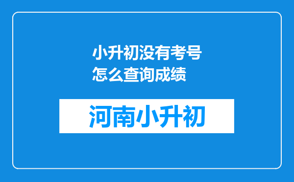 小升初没有考号怎么查询成绩